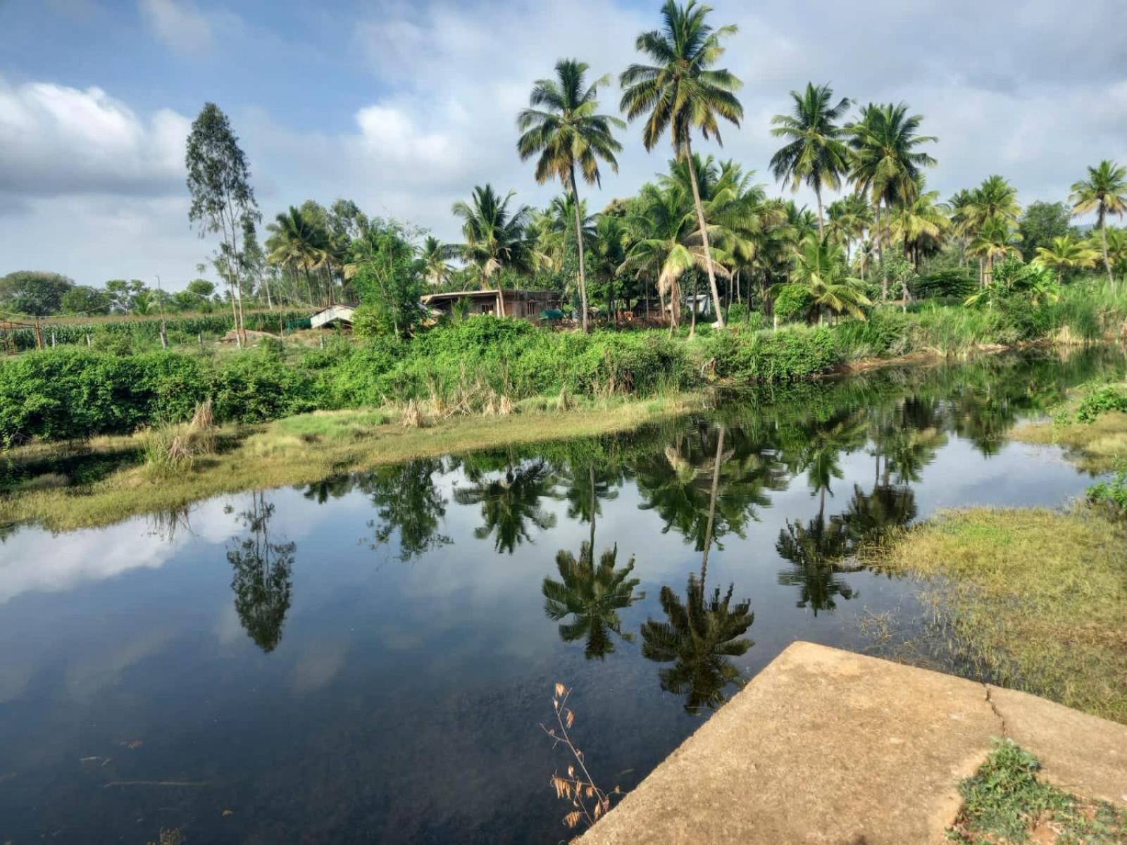Wilderness Jungle Camp Hotel Malavalli Exterior foto